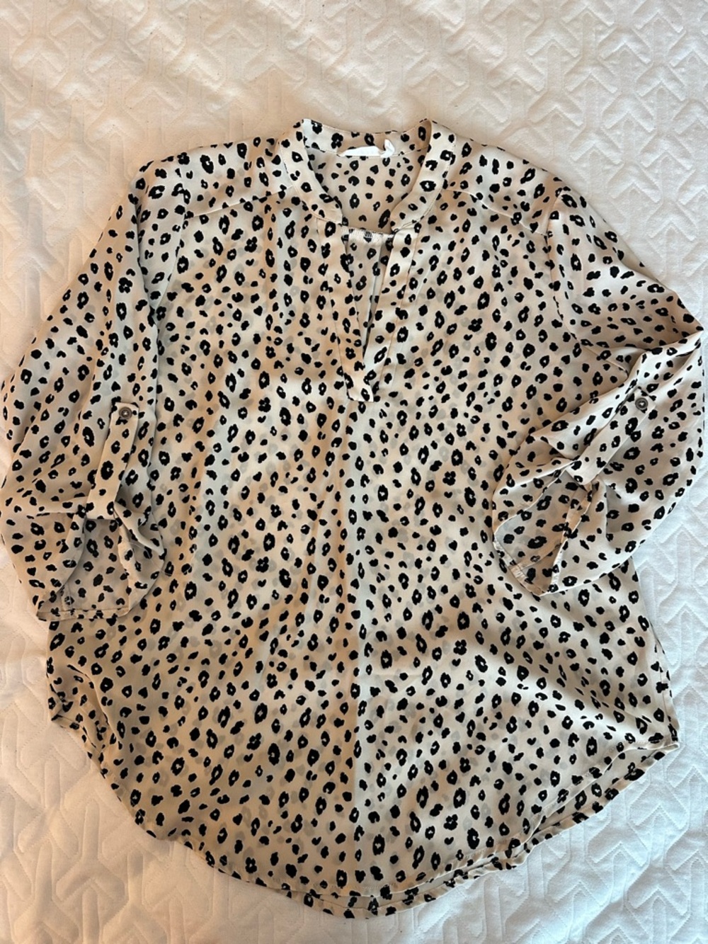 Lush Black Leopard Print Blouse